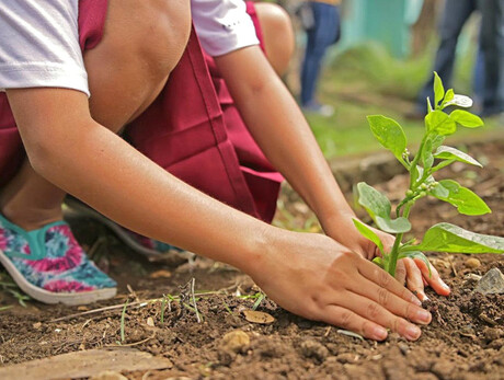 Laboratorio: Orto dei bambini