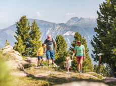 Lassù nel bosco, AMICI PER SEMPRE! - Cermis