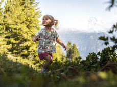 Lassù nel bosco, AMICI PER SEMPRE! - Cermis