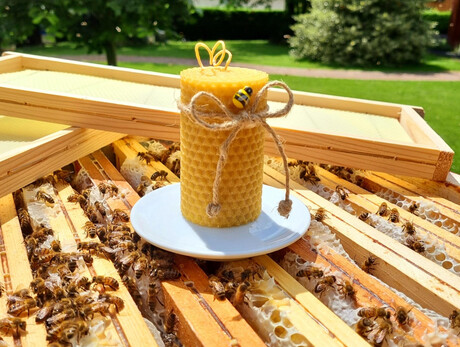 Le api e la cera, dal foglio cereo alla candela