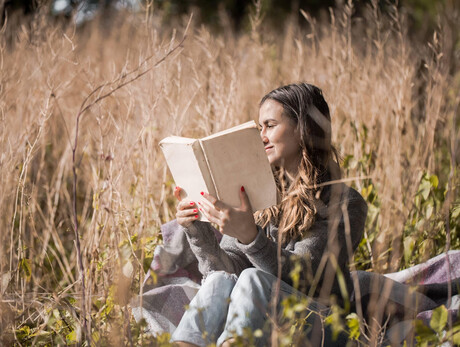 Animated readings along the theme trails