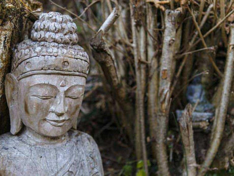 VT-Learn about Buddhism - meet the buddhist monk Seiun