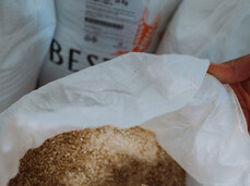 Mastri Birrai - Birra del Bosco