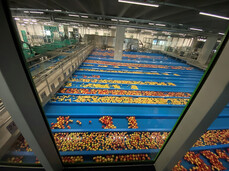 Mondomelinda: il centro visitatori del Consorzio Melinda