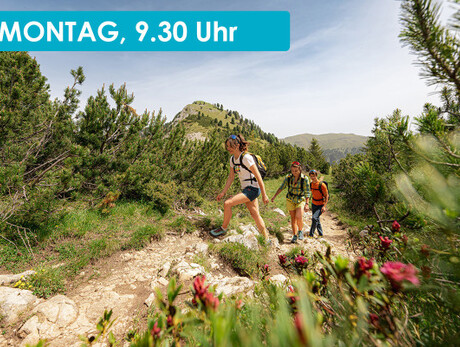 MONTE AGNELLO, ON THE TRACES OF THE TRIASSIC ERUPTION