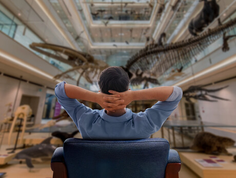 MUSE Soft. Experience the museum at your own pace