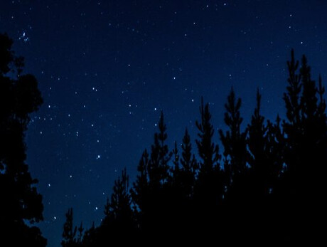 Sleeping in the woods - Viote Alpine Botanical Garden