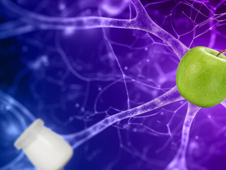 Neuroscience at the Table. Secrets of the brain and gastronomic experiences - MUSE