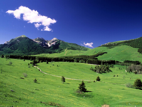 Nordic walking to discover Monte Bondone