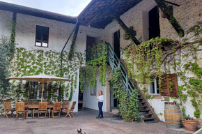 Beyond the Border - Foradori