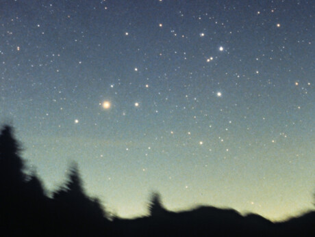 Spaziergänge unter den Sternen - Botanischer Garten Alpino Viote