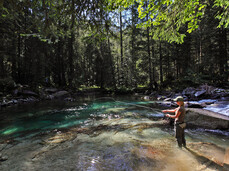 Pesca in Alto Sarca