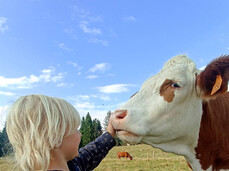 Discover with us "malga Prime Poste"!