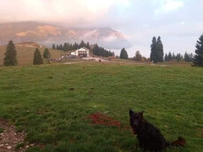 Discover with us "malga Prime Poste"!