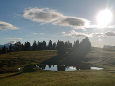 Discover with us "malga Prime Poste"!