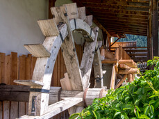 Pozza Trek - Get ready for a mountain excursion