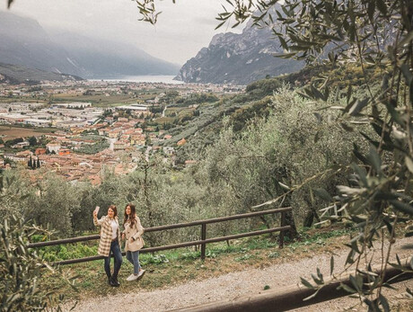 Just Like a Beekeeper