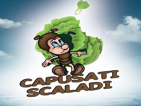 Fest des Heiligen Antonius