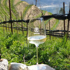 PRODUKTE AUF DEN TISCH