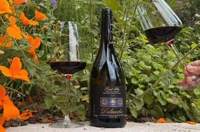 Entdecken Sie die Geheimnisse des Pinot Noir