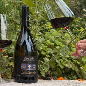 Entdecken Sie die Geheimnisse des Pinot Noir