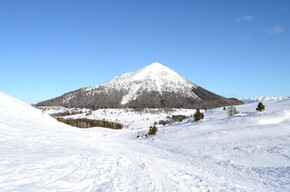 Scopri la fauna e la flora del Monte Bondone