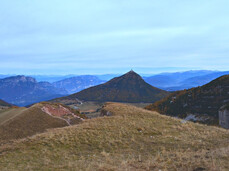 Scopri la fauna e la flora del Monte Bondone