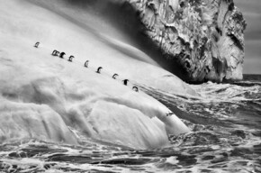 Sebastião Salgado Gletscher - MUSE