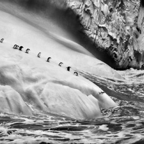 Sebastião Salgado Gletscher - MUSE