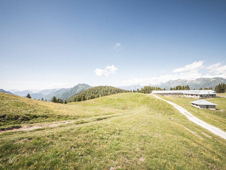 Sull'alpe di Movlina