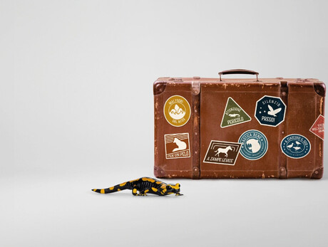 Touch of Nature - Journey into animal adaptation - MUSE