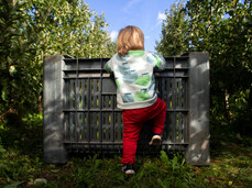 A guided tour of Leita Farm to find out all about the Melinda apples