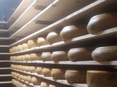 Tra animali e sapori all’Azienda Agricola La Cugna