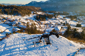 Trekking al Drago Vaia con esperienza "Echo In"