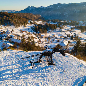 Trekking al Drago Vaia con esperienza "Echo In"