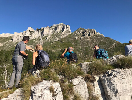 Trekking with forest keepers