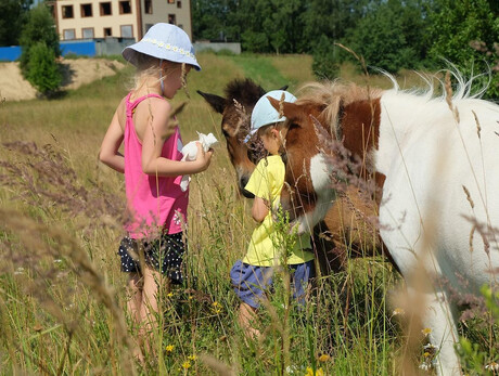 Trekking with the pony