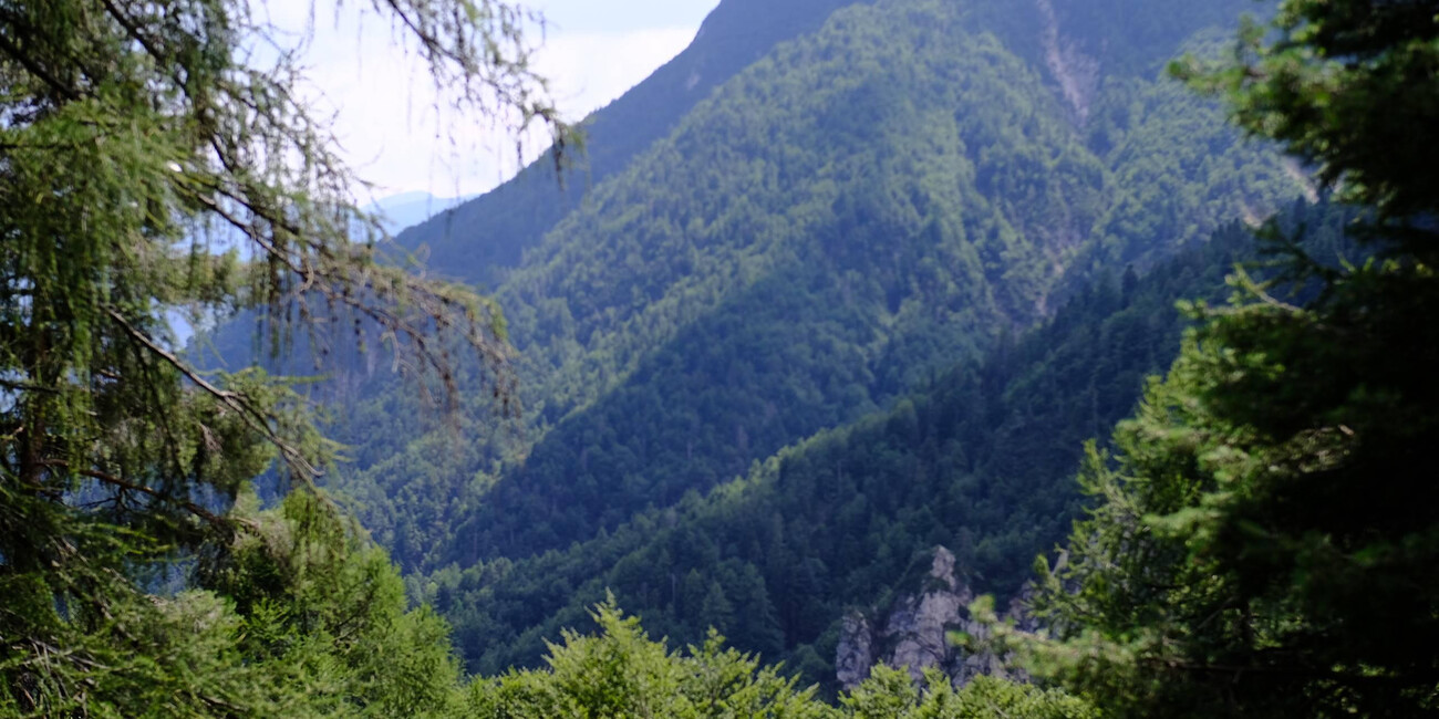 Trekking: Rifugio Casarota