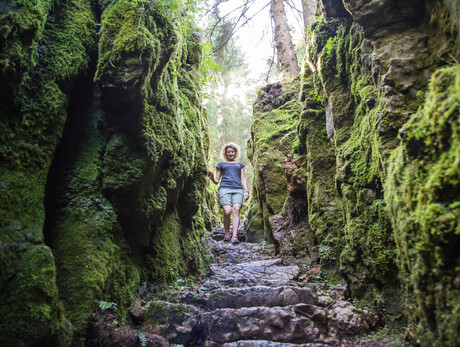 Trekking: History and Nature - La Forra del Lupo