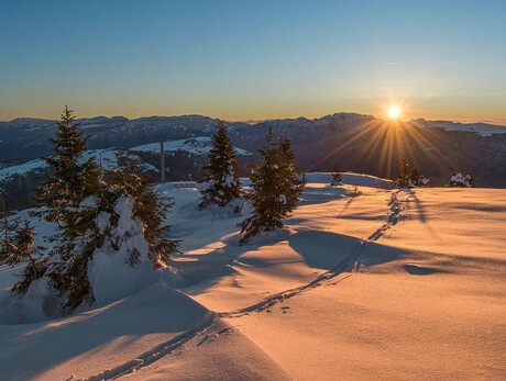 Trentino Ski Sunrise 2026