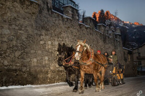 Troika a Fiera di Primiero