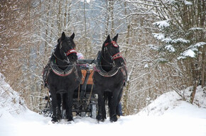 Troika in Val Canali