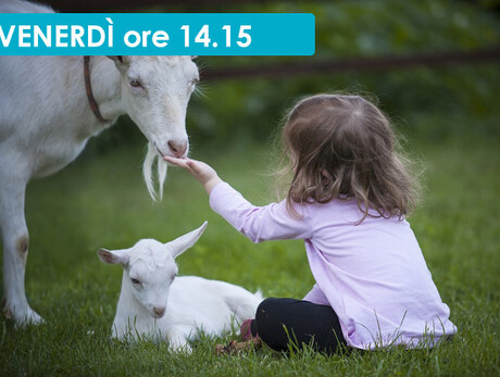 TUTTI IN MALGA PER UN POMERIGGIO DA CAPRA