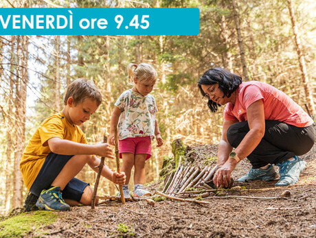 UNA GIORNATA DA BOSCAIOLO