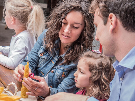 A morning with the Maia bee