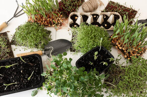 Venerdì in fattoria: Re-impariamo la natura