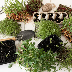 Venerdì in fattoria: Re-impariamo la natura