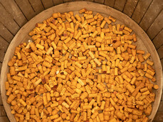 Vinifera - Trento Expo