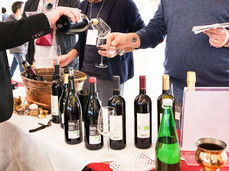 Vinifera - Trento Expo