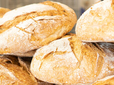 Vinifera - Trento Expo